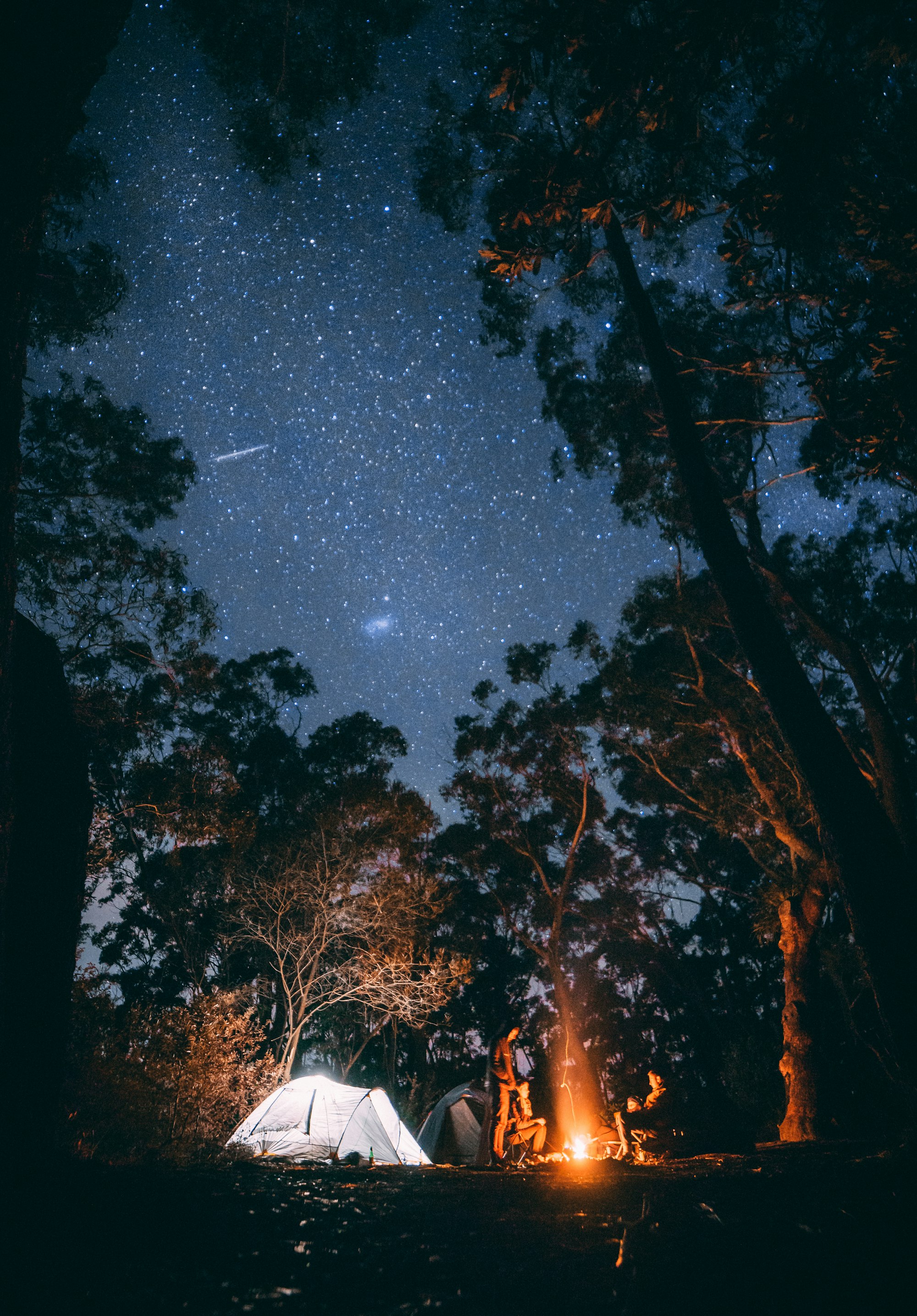 Campfire under a starry night sky